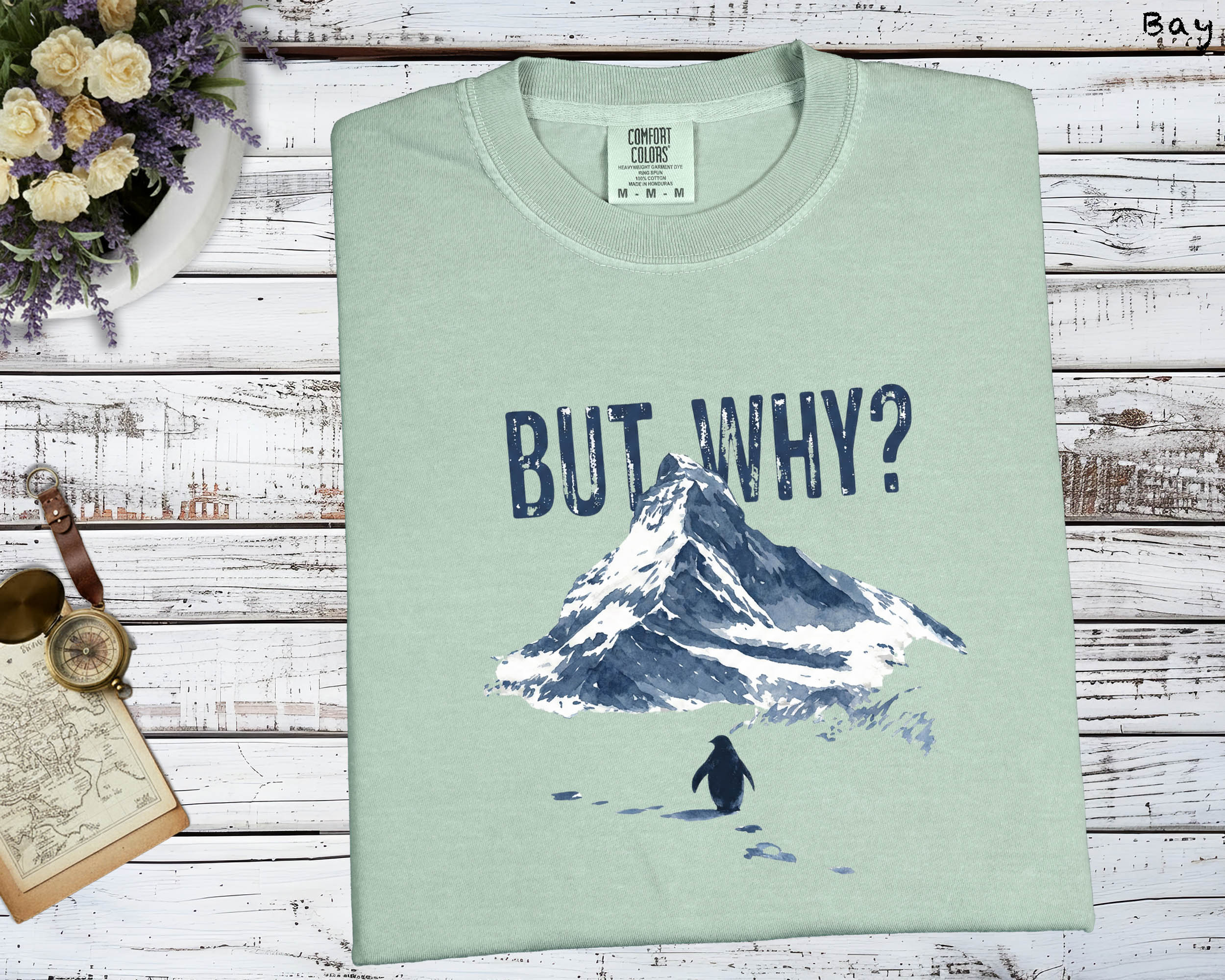 But Why Penguin Mountain T-Shirt, Emotional Themed Graphic Tee, Unisex Artistic Top