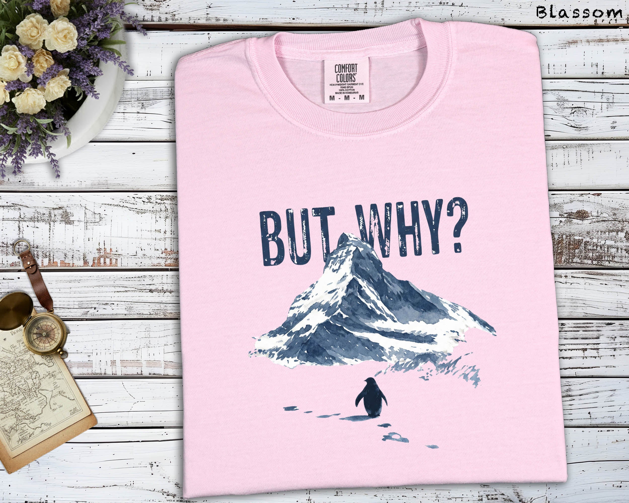But Why Penguin Mountain T-Shirt, Emotional Themed Graphic Tee, Unisex Artistic Top