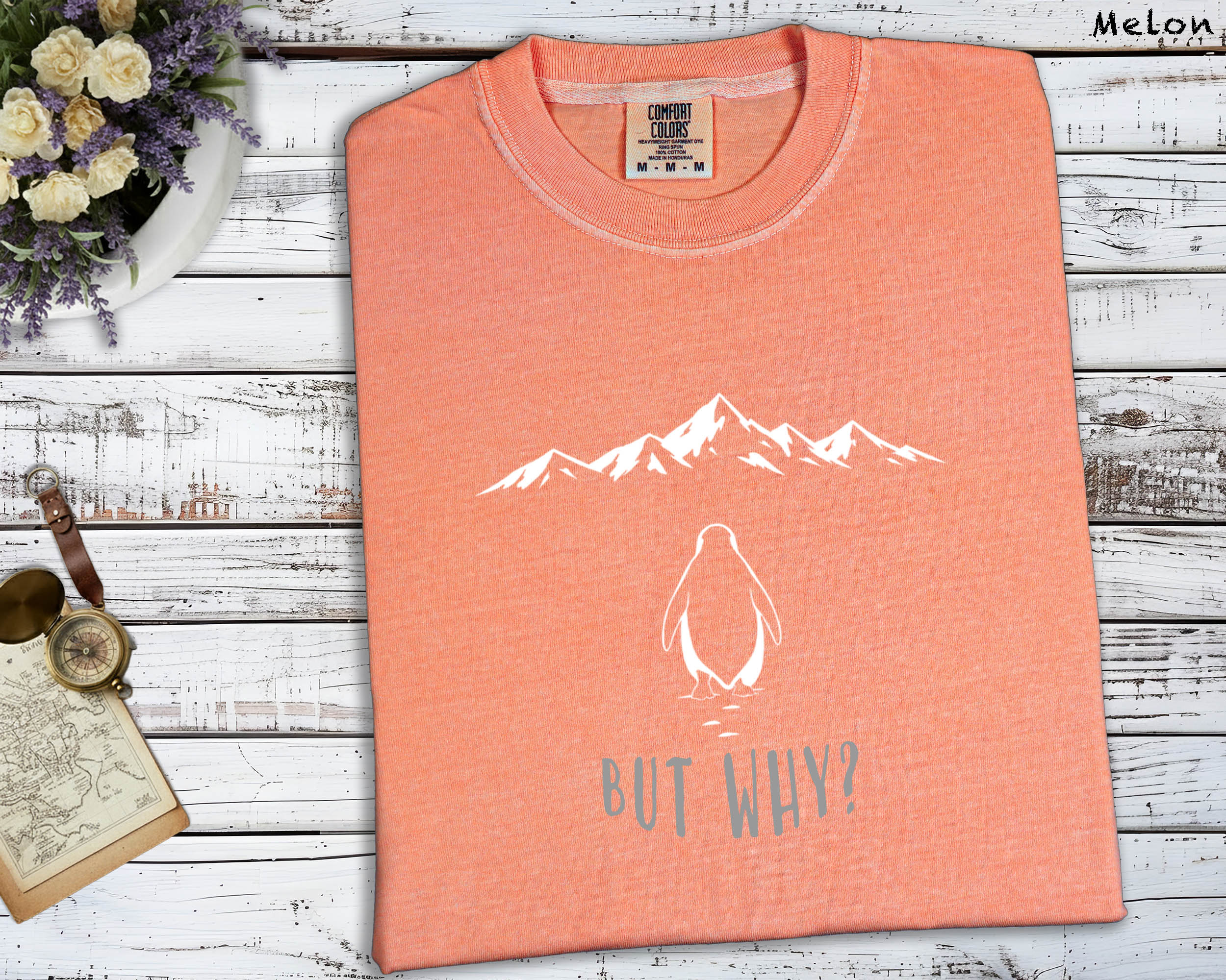 But Why Penguin Mountain T-Shirt, Emotional Themed Graphic Tee, Unisex Artistic Top